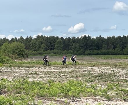 IMG 6374