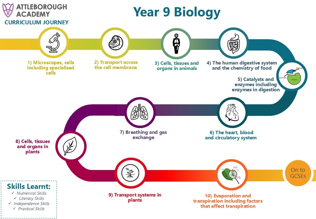 Year 9 Biology Snake 2025