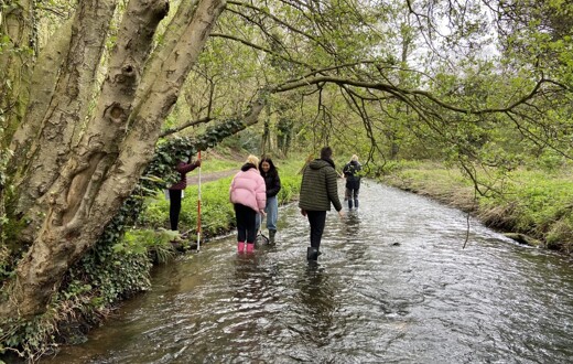 A-Level Biology Field Trip