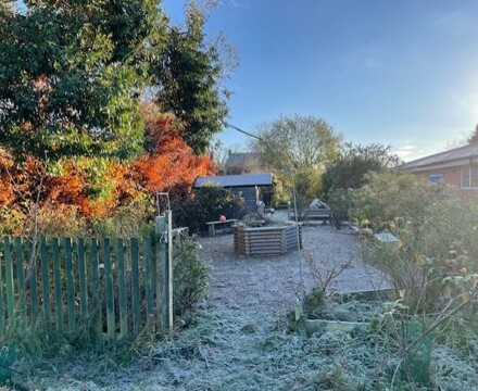 School Allotment