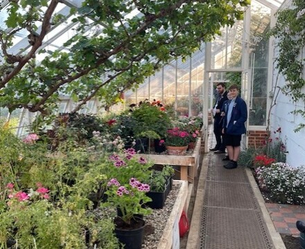 Raveningham Greenhouse